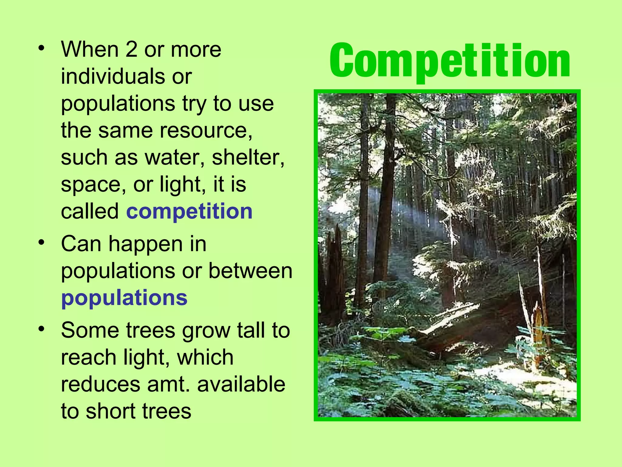 Competition• When 2 or more
individuals or
populations try to use
the same resource,
such as water, shelter,
space, or light, it is
called competition
• Can happen in
populations or between
populations
• Some trees grow tall to
reach light, which
reduces amt. available
to short trees
 