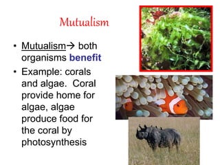 Mutualism
• Mutualism both
organisms benefit
• Example: corals
and algae. Coral
provide home for
algae, algae
produce food for
the coral by
photosynthesis
 