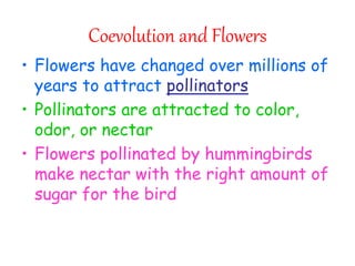 Coevolution and Flowers
• Flowers have changed over millions of
years to attract pollinators
• Pollinators are attracted to color,
odor, or nectar
• Flowers pollinated by hummingbirds
make nectar with the right amount of
sugar for the bird
 