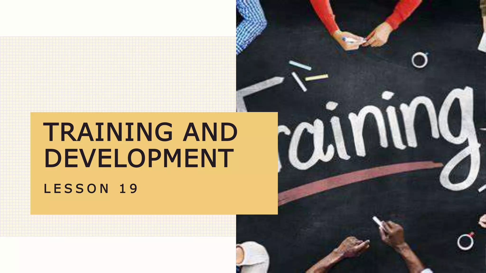 TRAINING AND
DEVELOPMENT
L E S S O N 1 9
 