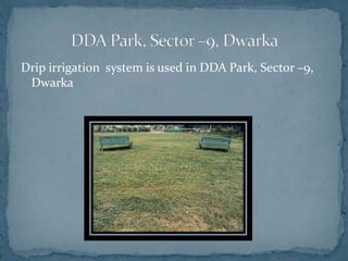 Drip irrigation system is used in DDA Park, Sector –9,
Dwarka
 