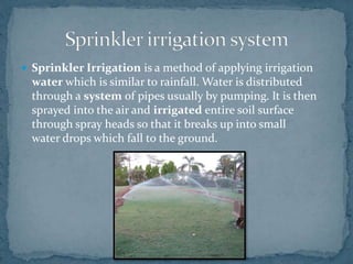  Sprinkler Irrigation is a method of applying irrigation
water which is similar to rainfall. Water is distributed
through a system of pipes usually by pumping. It is then
sprayed into the air and irrigated entire soil surface
through spray heads so that it breaks up into small
water drops which fall to the ground.
 