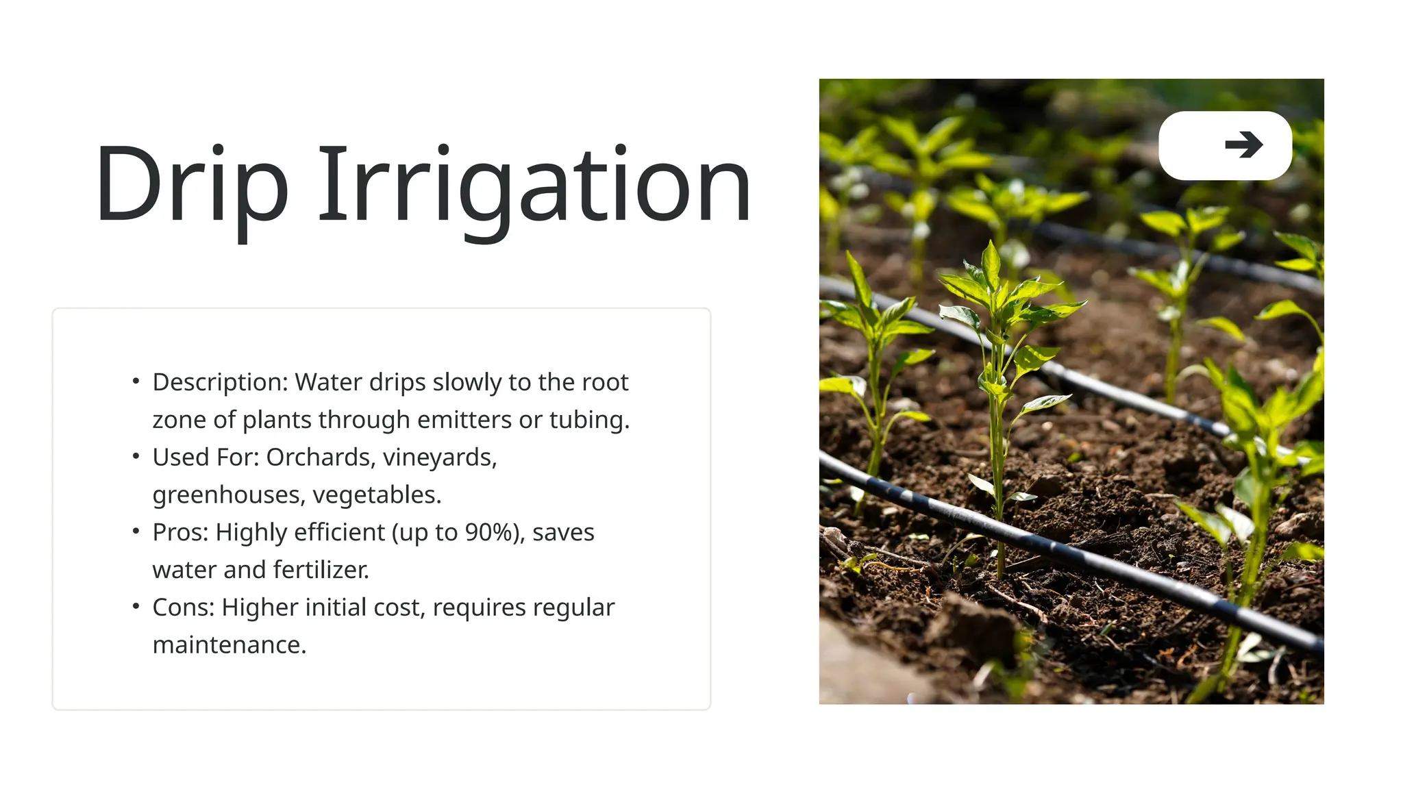 Photo inspiration: Visual Reference: Types Of Irrigation Systems Methods Applications And Efficiency