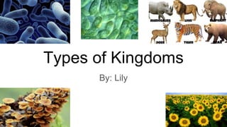 Types of Kingdoms
By: Lily
 