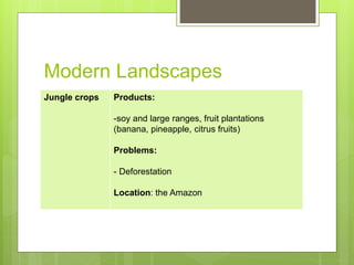 Modern Landscapes
Jungle crops Products:
-soy and large ranges, fruit plantations
(banana, pineapple, citrus fruits)
Problems:
- Deforestation
Location: the Amazon
 