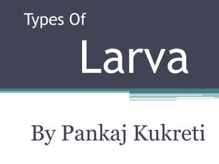 Types Of
Larva
By Pankaj Kukreti
 