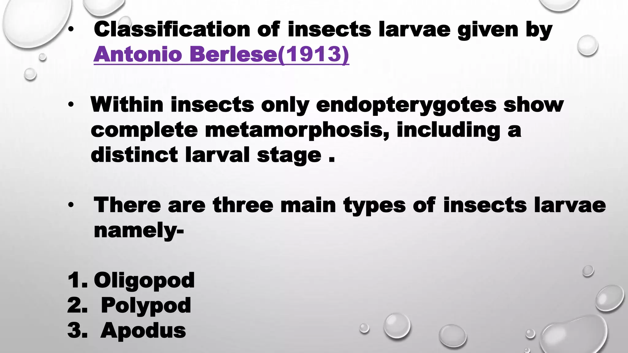 Types of larvae by shadab khan | PPT | Free Download 