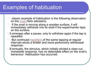 Examples of habituation
classic example of habituation is the following observation
on the snail Helix albolabris.
If the snail is moving along a wooden surface, it will
immediately withdraw into its shell if the experimenter taps
on the surface.
It emerges after a pause, only to withdraw again if the tap is
repeated.
But continued repetition of the same tapping at regular
intervals elicits a briefer and more perfunctory withdrawal
response.
Eventually, the stimulus, which initially elicited a clear-cut,
immediate response, has no detectable effect on the snail’s
behaviour. Habituation has occurred.
 