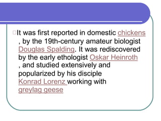 It was first reported in domestic chickens
, by the 19th-century amateur biologist
Douglas Spalding. It was rediscovered
by the early ethologist Oskar Heinroth
, and studied extensively and
popularized by his disciple
Konrad Lorenz working with
greylag geese
 