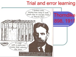 Trial and error learning
Thorndike
1898, 1911
 