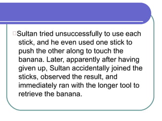 Sultan tried unsuccessfully to use each
stick, and he even used one stick to
push the other along to touch the
banana. Later, apparently after having
given up, Sultan accidentally joined the
sticks, observed the result, and
immediately ran with the longer tool to
retrieve the banana.
 