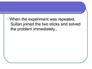 When the experiment was repeated,
Sultan joined the two sticks and solved
the problem immediately..
 