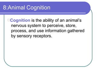 8:Animal Cognition
Cognition is the ability of an animal’s
nervous system to perceive, store,
process, and use information gathered
by sensory receptors.
 