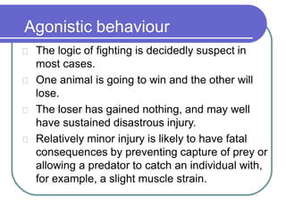 Agonistic behaviour
The logic of fighting is decidedly suspect in
most cases.
One animal is going to win and the other will
lose.
The loser has gained nothing, and may well
have sustained disastrous injury.
Relatively minor injury is likely to have fatal
consequences by preventing capture of prey or
allowing a predator to catch an individual with,
for example, a slight muscle strain.
 