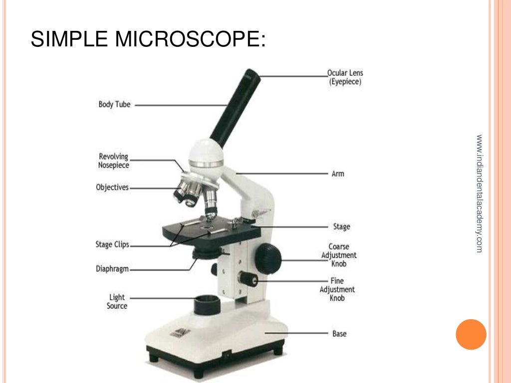 TYPES OF LENSES IN MICROSCOPE / cosmetic dentistry courses