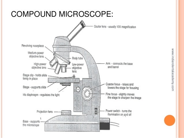 Types Of Lenses In Microscope Cosmetic Dentistry Courses