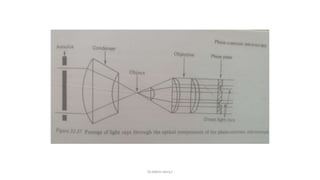 Types of light microscopy | PPTX