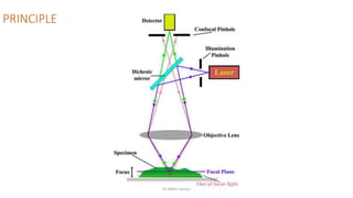 Types of light microscopy | PPTX