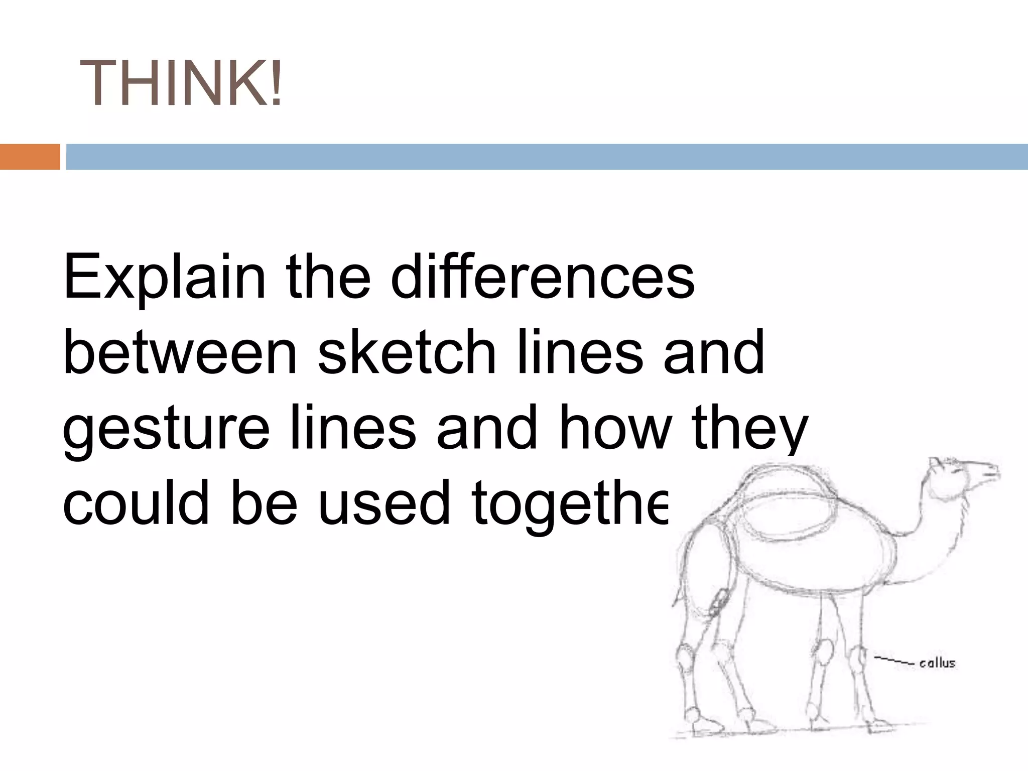 THINK!


Explain the differences
between sketch lines and
gesture lines and how they
could be used together?
 