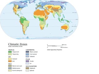 Types of maps | PPT