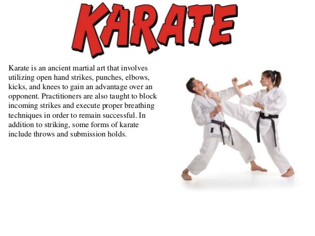 Sijo Larry Sanders Types Of Martial Arts You Should Know