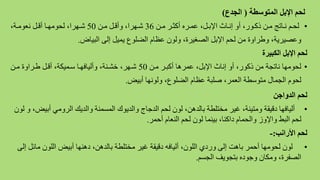 ‫المتوسطة‬ ‫اإلبل‬ ‫لحم‬(‫الجدع‬)
•‫ن‬‫ن‬‫م‬ ‫نر‬‫ن‬‫هكث‬ ‫نره‬‫ن‬‫لم‬ ،‫نل‬‫ن‬‫اإلب‬ ‫ناث‬‫ن‬‫إن‬ ‫ه‬ ،‫نور‬‫ن‬‫رك‬ ‫ن‬‫ن‬‫م‬ ‫ناتج‬‫ن‬‫ن‬ ‫نم‬‫ن‬‫لح‬36‫ن‬‫ن‬‫م‬ ‫نل‬‫ن‬‫هق‬ ،‫نارا‬‫ن‬‫ش‬50،‫نة‬‫ن‬‫نعوم‬ ‫نل‬‫ن‬‫هق‬ ‫نا‬‫ن‬‫لحوما‬ ،‫نارا‬‫ن‬‫ش‬
‫البيا‬ ‫إلف‬ ‫يميل‬ ‫الملوع‬ ‫لظام‬ ‫لون‬ ،‫الصغيرة‬ ‫اإلبل‬ ‫لحم‬ ‫م‬ ‫ة‬ ‫طرا‬ ،‫لصيرية‬.
‫الكبيرة‬ ‫اإلبل‬ ‫لحم‬
•‫من‬ ‫هكبنر‬ ‫لمرها‬ ،‫اإلبل‬ ‫إناث‬ ‫ه‬ ،‫ركور‬ ‫م‬ ‫ناتجة‬ ‫لحوماا‬50‫من‬ ‫ة‬ ‫طنرا‬ ‫هقنل‬ ،‫سنمياة‬ ‫هليافانا‬ ،‫خشننة‬ ،‫شنار‬
‫هبي‬ ‫لوناا‬ ،‫الملوع‬ ‫لظام‬ ‫صلبة‬ ،‫العمر‬ ‫متوسطة‬ ‫الجمال‬ ‫لحوم‬.
‫الدواجن‬ ‫لحم‬
•‫هبي‬ ‫مي‬ ‫الر‬ ‫الديك‬ ‫المسمنة‬ ‫الديوو‬ ‫الدجاج‬ ‫لحم‬ ‫لون‬ ، ‫بالده‬ ‫مختلطة‬ ‫غير‬ ،‫متينة‬ ‫دقيقة‬ ‫هليافاا‬‫لون‬ ،
‫هحمر‬ ‫النعام‬ ‫لحم‬ ‫لون‬ ‫بينما‬ ،‫داكنا‬ ‫الحمام‬ ‫ز‬ ‫اإل‬ ‫البط‬ ‫لحم‬.
‫األرانب‬ ‫لحم‬:-
•‫ما‬ ‫اللون‬ ‫هبي‬ ‫دهناا‬ ، ‫بالده‬ ‫مختلطة‬ ‫غير‬ ‫دقيقة‬ ‫هليافه‬ ،‫اللون‬ ‫ردض‬ ‫إلف‬ ‫باه‬ ‫هحمر‬ ‫لحوماا‬ ‫لون‬‫إلف‬ ‫ل‬
‫الجسم‬ ‫بتجويف‬ ‫جوده‬ ‫ماان‬ ،‫الصفرة‬.
 