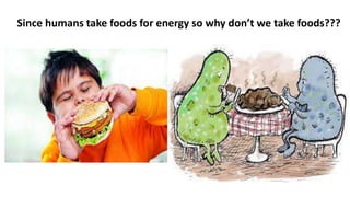 Since humans take foods for energy so why don’t we take foods???
 