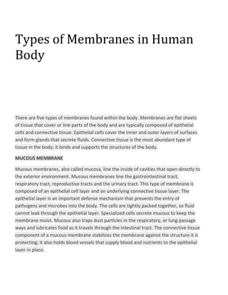 Types of Membranes in Human
Body

There are five types of membranes found within the body. Membranes are flat sheets
of tissue that cover or line parts of the body and are typically composed of epithelial
cells and connective tissue. Epithelial cells cover the inner and outer layers of surfaces
and form glands that secrete fluids. Connective tissue is the most abundant type of
tissue in the body; it binds and supports the structures of the body.
MUCOUS MEMBRANE
Mucous membranes, also called mucosa, line the inside of cavities that open directly to
the exterior environment. Mucous membranes line the gastrointestinal tract,
respiratory tract, reproductive tracts and the urinary tract. This type of membrane is
composed of an epithelial cell layer and an underlying connective tissue layer. The
epithelial layer is an important defense mechanism that prevents the entry of
pathogens and microbes into the body. The cells are tightly packed together, so fluid
cannot leak through the epithelial layer. Specialized cells secrete mucous to keep the
membrane moist. Mucous also traps dust particles in the respiratory, or lung passage
ways and lubricates food as it travels through the intestinal tract. The connective tissue
component of a mucous membrane stabilizes the membrane against the structure it is
protecting; it also holds blood vessels that supply blood and nutrients to the epithelial
layer in place.

 