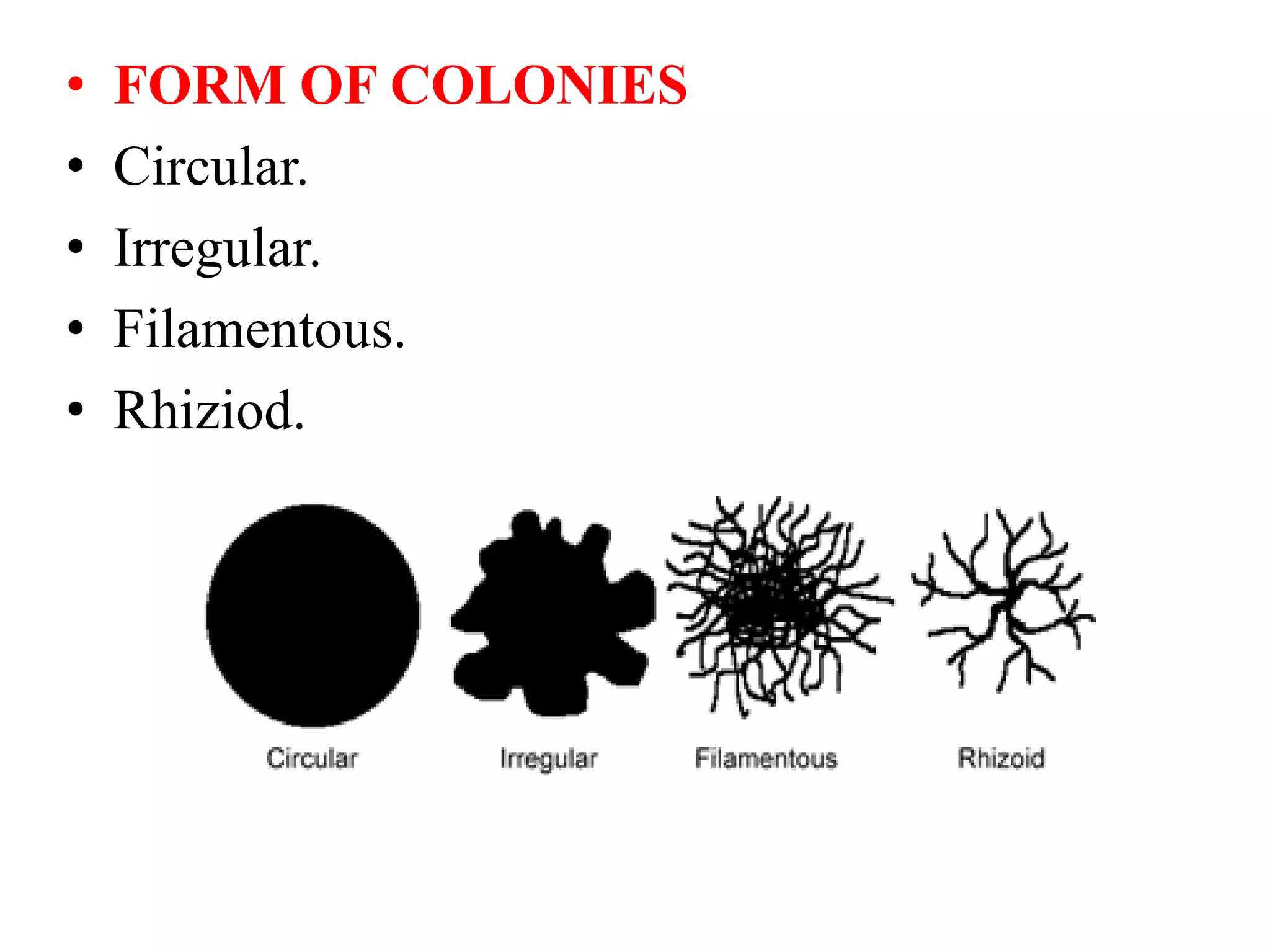 • FORM OF COLONIES
• Circular.
• Irregular.
• Filamentous.
• Rhiziod.
 