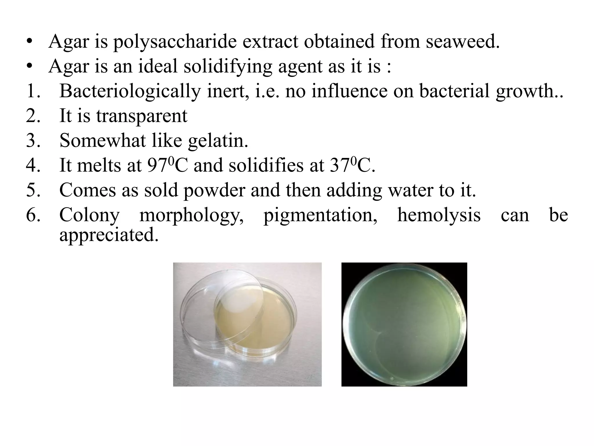 • Agar is polysaccharide extract obtained from seaweed.
• Agar is an ideal solidifying agent as it is :
1. Bacteriologically inert, i.e. no influence on bacterial growth..
2. It is transparent
3. Somewhat like gelatin.
4. It melts at 970C and solidifies at 370C.
5. Comes as sold powder and then adding water to it.
6. Colony morphology, pigmentation, hemolysis can be
appreciated.
 