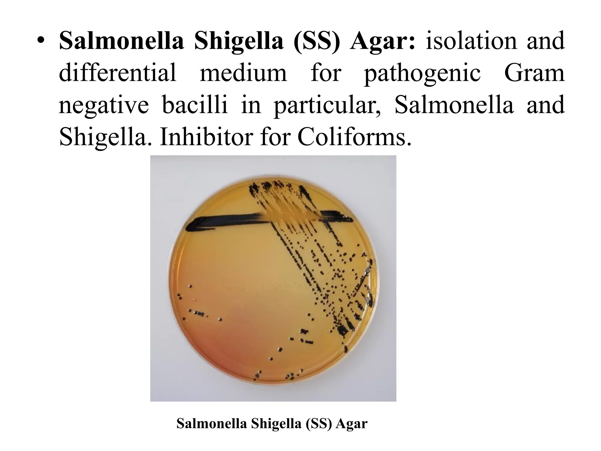 • Salmonella Shigella (SS) Agar: isolation and
differential medium for pathogenic Gram
negative bacilli in particular, Salmonella and
Shigella. Inhibitor for Coliforms.
Salmonella Shigella (SS) Agar
 