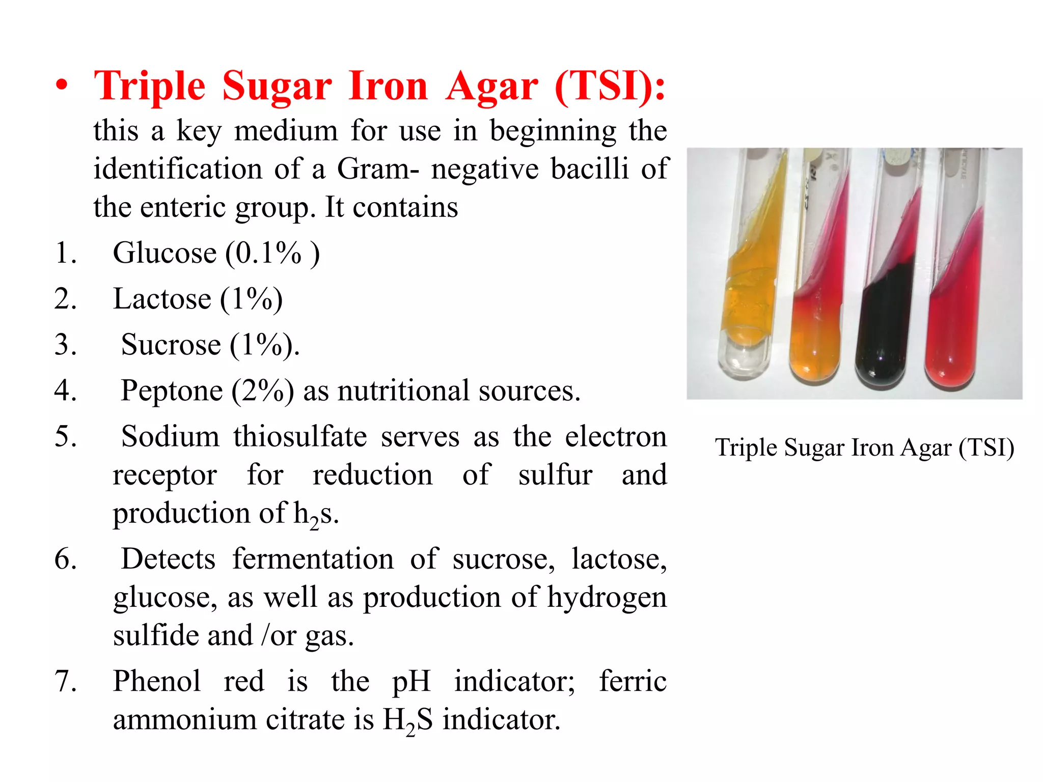 • Triple Sugar Iron Agar (TSI):
this a key medium for use in beginning the
identification of a Gram- negative bacilli of
the enteric group. It contains
1. Glucose (0.1% )
2. Lactose (1%)
3. Sucrose (1%).
4. Peptone (2%) as nutritional sources.
5. Sodium thiosulfate serves as the electron
receptor for reduction of sulfur and
production of h2s.
6. Detects fermentation of sucrose, lactose,
glucose, as well as production of hydrogen
sulfide and /or gas.
7. Phenol red is the pH indicator; ferric
ammonium citrate is H2S indicator.
Triple Sugar Iron Agar (TSI)
 