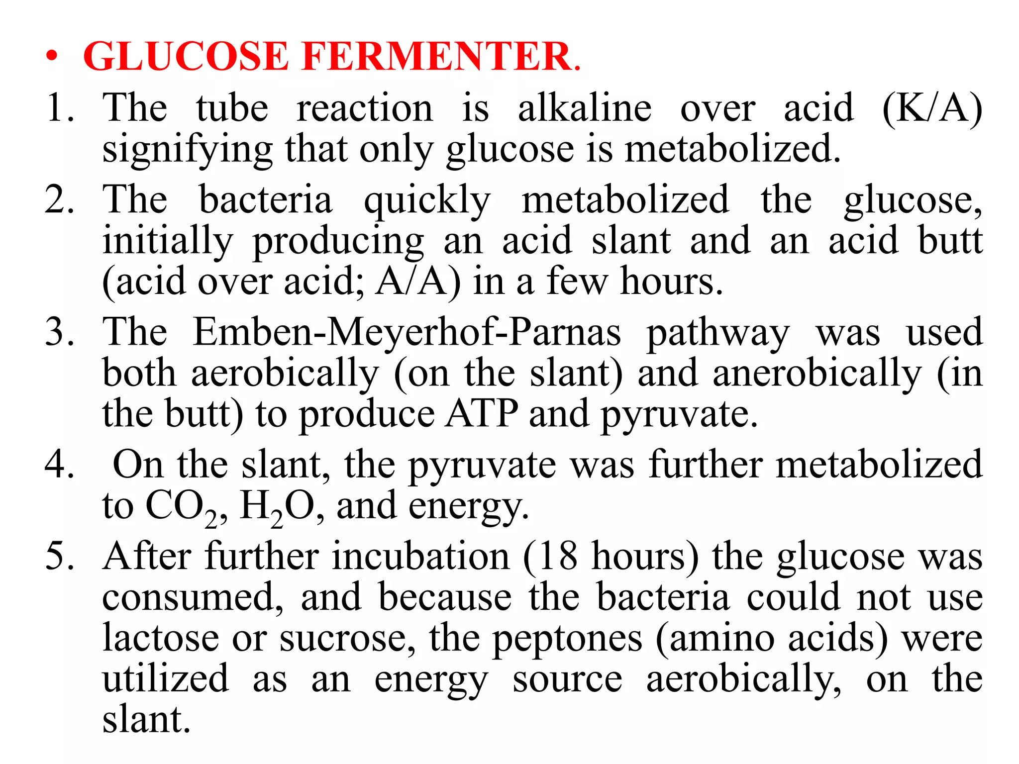 • GLUCOSE FERMENTER.
1. The tube reaction is alkaline over acid (K/A)
signifying that only glucose is metabolized.
2. The bacteria quickly metabolized the glucose,
initially producing an acid slant and an acid butt
(acid over acid; A/A) in a few hours.
3. The Emben-Meyerhof-Parnas pathway was used
both aerobically (on the slant) and anerobically (in
the butt) to produce ATP and pyruvate.
4. On the slant, the pyruvate was further metabolized
to CO2, H2O, and energy.
5. After further incubation (18 hours) the glucose was
consumed, and because the bacteria could not use
lactose or sucrose, the peptones (amino acids) were
utilized as an energy source aerobically, on the
slant.
 