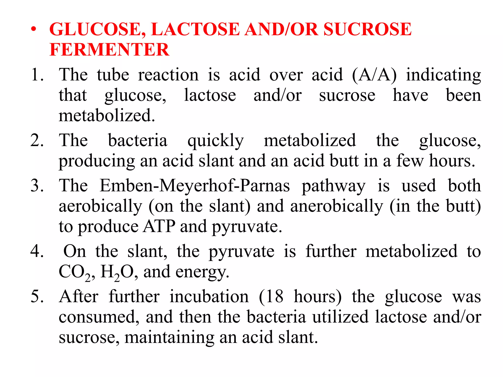 • GLUCOSE, LACTOSE AND/OR SUCROSE
FERMENTER
1. The tube reaction is acid over acid (A/A) indicating
that glucose, lactose and/or sucrose have been
metabolized.
2. The bacteria quickly metabolized the glucose,
producing an acid slant and an acid butt in a few hours.
3. The Emben-Meyerhof-Parnas pathway is used both
aerobically (on the slant) and anerobically (in the butt)
to produce ATP and pyruvate.
4. On the slant, the pyruvate is further metabolized to
CO2, H2O, and energy.
5. After further incubation (18 hours) the glucose was
consumed, and then the bacteria utilized lactose and/or
sucrose, maintaining an acid slant.
 