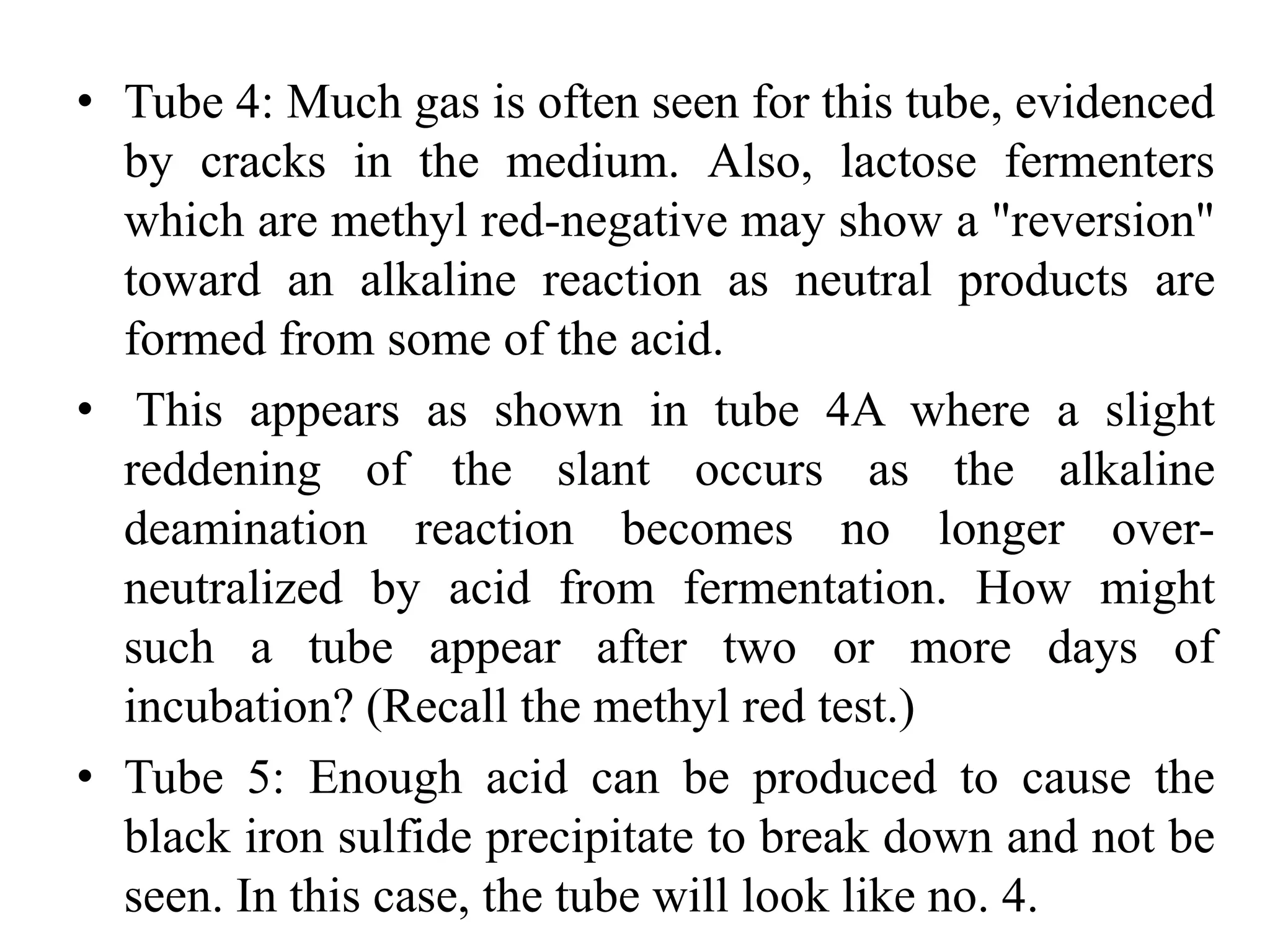 • Tube 4: Much gas is often seen for this tube, evidenced
by cracks in the medium. Also, lactose fermenters
which are methyl red-negative may show a "reversion"
toward an alkaline reaction as neutral products are
formed from some of the acid.
• This appears as shown in tube 4A where a slight
reddening of the slant occurs as the alkaline
deamination reaction becomes no longer over-
neutralized by acid from fermentation. How might
such a tube appear after two or more days of
incubation? (Recall the methyl red test.)
• Tube 5: Enough acid can be produced to cause the
black iron sulfide precipitate to break down and not be
seen. In this case, the tube will look like no. 4.
 