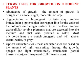 • TERMS USED FOR GROWTH ON NUTRIENT
SLANTS
• Abundance of growth - the amount of growth is
designated as none, slight, moderate, or large
• Pigmentation – chromogenic bacteria may produce
intracellular pigments that are responsible for the color of
the colonies on the agar surface. Other bacteria produce
extracellular soluble pigments that are excreted into the
medium and that also produce a color. Most
microorganisms are nonchromogenic and will appear
cream, white, or gray.
• Optical characteristics - these characteristics are based on
the amount of light transmitted through the growth:
opaque (no light transmitted), translucent (partial
transmission), or transparent (full transmission).
 