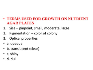 • TERMS USED FOR GROWTH ON NUTRIENT
AGAR PLATES
1. Size – pinpoint, small, moderate, large
2. Pigmentation – color of colony
3. Optical properties
• a. opaque
• b. translucent (clear)
• c. shiny
• d. dull
 