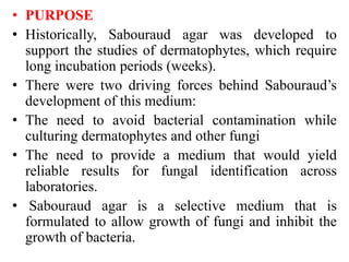 • PURPOSE
• Historically, Sabouraud agar was developed to
support the studies of dermatophytes, which require
long incubation periods (weeks).
• There were two driving forces behind Sabouraud’s
development of this medium:
• The need to avoid bacterial contamination while
culturing dermatophytes and other fungi
• The need to provide a medium that would yield
reliable results for fungal identification across
laboratories.
• Sabouraud agar is a selective medium that is
formulated to allow growth of fungi and inhibit the
growth of bacteria.
 
