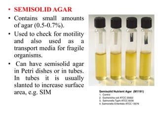 • SEMISOLID AGAR
• Contains small amounts
of agar (0.5-0.7%).
• Used to check for motility
and also used as a
transport media for fragile
organisms.
• Can have semisolid agar
in Petri dishes or in tubes.
In tubes it is usually
slanted to increase surface
area, e.g. SIM
 
