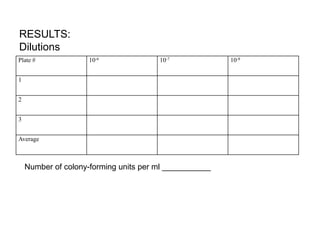 Plate # 10-6 10-7 10-8
1
2
3
Average
RESULTS:
Dilutions
Number of colony-forming units per ml ___________
 
