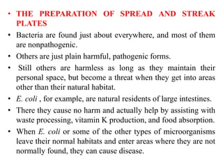 • THE PREPARATION OF SPREAD AND STREAK
PLATES
• Bacteria are found just about everywhere, and most of them
are nonpathogenic.
• Others are just plain harmful, pathogenic forms.
• Still others are harmless as long as they maintain their
personal space, but become a threat when they get into areas
other than their natural habitat.
• E. coli , for example, are natural residents of large intestines.
• There they cause no harm and actually help by assisting with
waste processing, vitamin K production, and food absorption.
• When E. coli or some of the other types of microorganisms
leave their normal habitats and enter areas where they are not
normally found, they can cause disease.
 