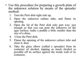 • Use this procedure for preparing a growth plate of
the unknown solution by means of the spreader
method:
1. Turn the Petri dish right side up,
2. Open the unknown culture tube, and flame its
opening,
3. Open the lid of the Petri dish only part way: just
enough so that you can pour the unknown on the
agar surface; make a puddle a little smaller than the
size of a dime,
4. Close the Petri dish,
5. Flame the opening of the unknown culture tube and
close it, then
6. Take the glass elbow (called a spreader) from its
container of alcohol, tapping as much alcohol as
possible off its surface against the inside wall of its
container,
 