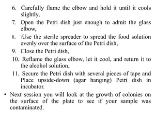 6. Carefully flame the elbow and hold it until it cools
slightly,
7. Open the Petri dish just enough to admit the glass
elbow,
8. Use the sterile spreader to spread the food solution
evenly over the surface of the Petri dish,
9. Close the Petri dish,
10. Reflame the glass elbow, let it cool, and return it to
the alcohol solution,
11. Secure the Petri dish with several pieces of tape and
Place upside-down (agar hanging) Petri dish in
incubator.
• Next session you will look at the growth of colonies on
the surface of the plate to see if your sample was
contaminated.
 