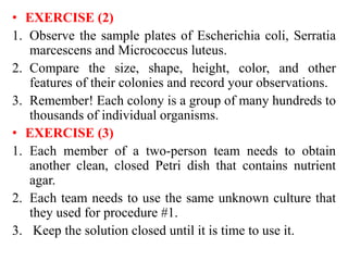 • EXERCISE )2(
1. Observe the sample plates of Escherichia coli, Serratia
marcescens and Micrococcus luteus.
2. Compare the size, shape, height, color, and other
features of their colonies and record your observations.
3. Remember! Each colony is a group of many hundreds to
thousands of individual organisms.
• EXERCISE (3(
1. Each member of a two-person team needs to obtain
another clean, closed Petri dish that contains nutrient
agar.
2. Each team needs to use the same unknown culture that
they used for procedure #1.
3. Keep the solution closed until it is time to use it.
 