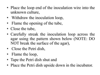 • Place the loop end of the inoculation wire into the
unknown culture,
• Withdraw the inoculation loop,
• Flame the opening of the tube,
• Close the tube,
• Carefully streak the inoculation loop across the
agar using the pattern shown below (NOTE: DO
NOT break the surface of the agar),
• Close the Petri dish,
• Flame the loop,
• Tape the Petri dish shut and
• Place the Petri dish upside down in the incubator.
 