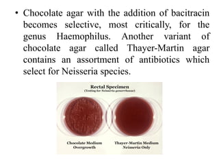 • Chocolate agar with the addition of bacitracin
becomes selective, most critically, for the
genus Haemophilus. Another variant of
chocolate agar called Thayer-Martin agar
contains an assortment of antibiotics which
select for Neisseria species.
 