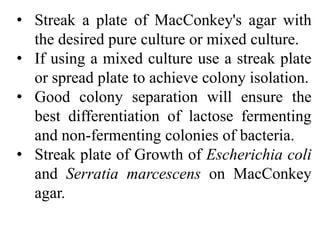 • Streak a plate of MacConkey's agar with
the desired pure culture or mixed culture.
• If using a mixed culture use a streak plate
or spread plate to achieve colony isolation.
• Good colony separation will ensure the
best differentiation of lactose fermenting
and non-fermenting colonies of bacteria.
• Streak plate of Growth of Escherichia coli
and Serratia marcescens on MacConkey
agar.
 