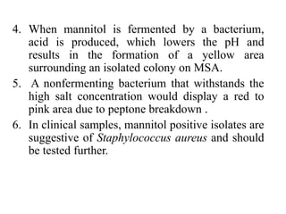 4. When mannitol is fermented by a bacterium,
acid is produced, which lowers the pH and
results in the formation of a yellow area
surrounding an isolated colony on MSA.
5. A nonfermenting bacterium that withstands the
high salt concentration would display a red to
pink area due to peptone breakdown .
6. In clinical samples, mannitol positive isolates are
suggestive of Staphylococcus aureus and should
be tested further.
 