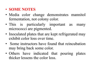 • SOME NOTES
• Media color change demonstrates mannitol
fermentation, not colony color.
• This is particularly important as many
micrococci are pigmented.
• Inoculated plates that are kept refrigerated may
exhibit color loss over time.
• Some instructors have found that reincubation
may bring back some color.
• Others have indicated that pouring plates
thicker lessens the color loss.
 