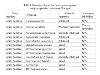 Gram
reaction
Organism
Growth
response
Swarming
inhibition
Gram negative Escherichia coli Inhibited N/A
Gram negative Proteus mirabilis Markedly inhibited
Yes,no
spreading
Gram negative Pseudomonas aeruginosa Partially inhibited N/A
Gram negative Salmonella enteritidis Inhibited N/A
Gram negative Enterobacter aerogenes Inhibited N/A
Gram positive Staphylococcus aureus Good N/A
Gram positive Streptococcus pyogene Good N/A
Gram positive Streptococcus pnuemoniae Good N/A
Gram positive Clostridium perfringens Partially inhibited N/A
Gram positive Enterococcus faecalis Good N/A
Gram positive Bacillus sp. Good N/A
Gram positive Micrococcus luteus Good N/A
Table 1. Examples of growth of some gram-negative
and gram-positive bacteria on PEA agar
 